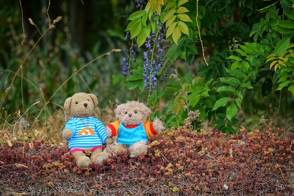 Hier summt es aber mächtig ... 