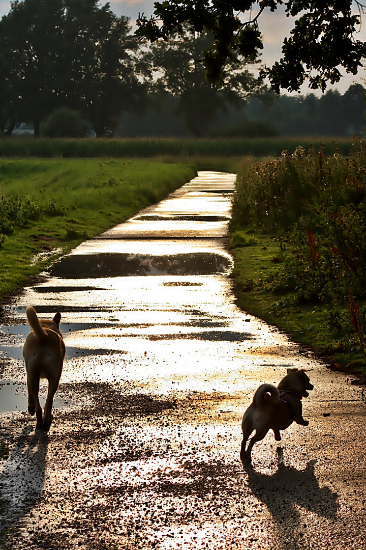 Hier trennt sich unser Weg..