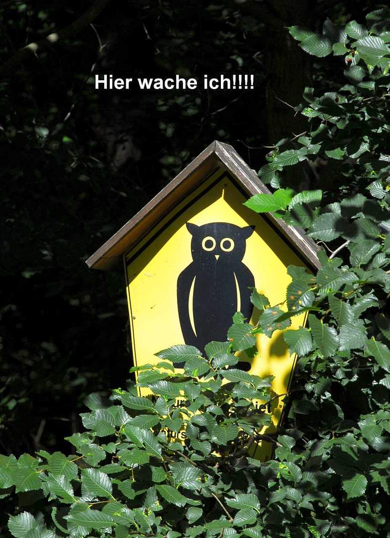 Hier wache ich!