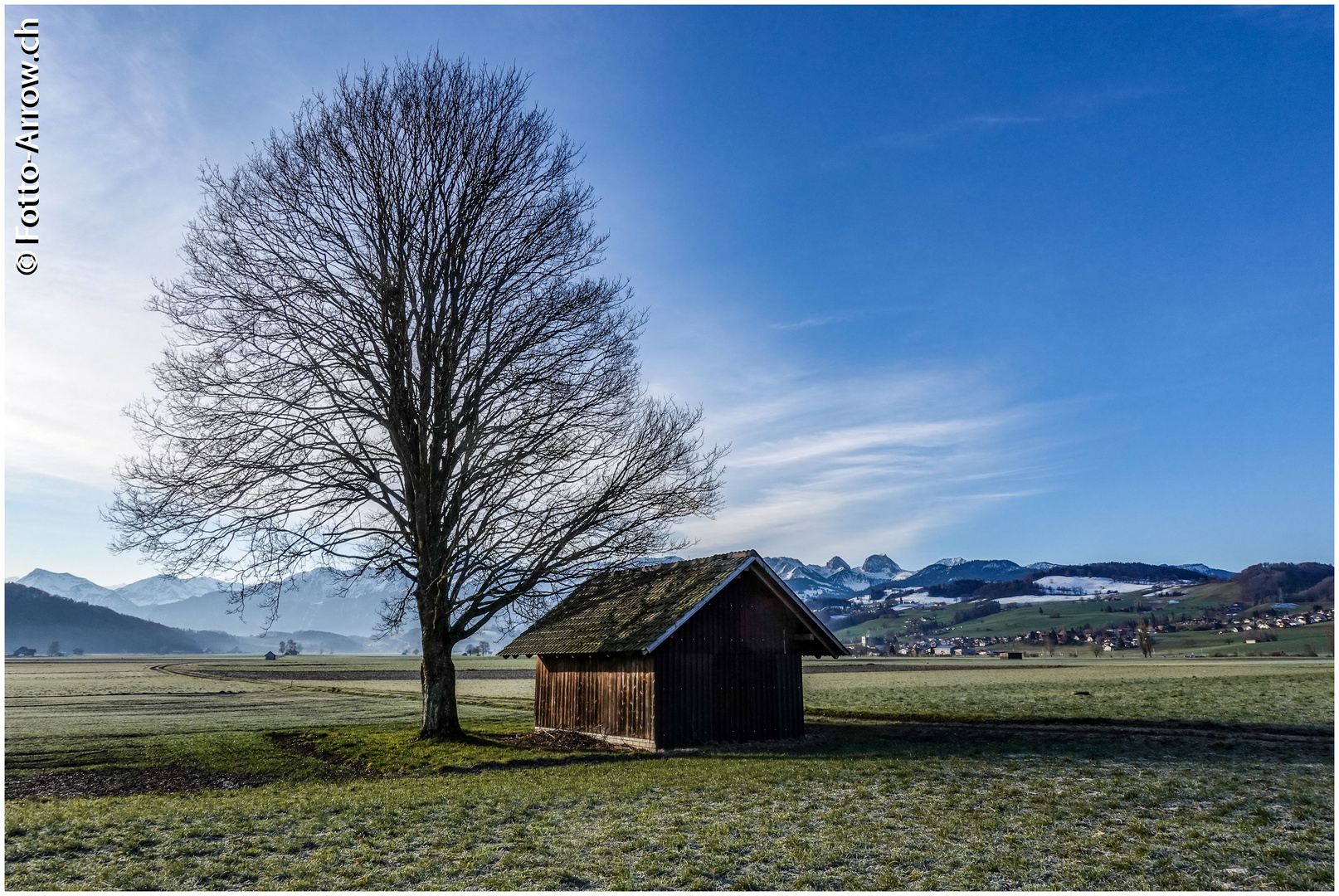 Hier wachsen die Bäume in den Himmel ....