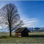 Hier wachsen die Bäume in den Himmel ....