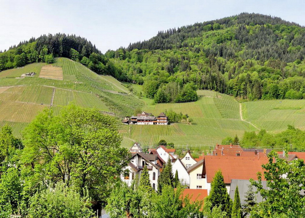 Hier wächst die Hex vom Dasenstein