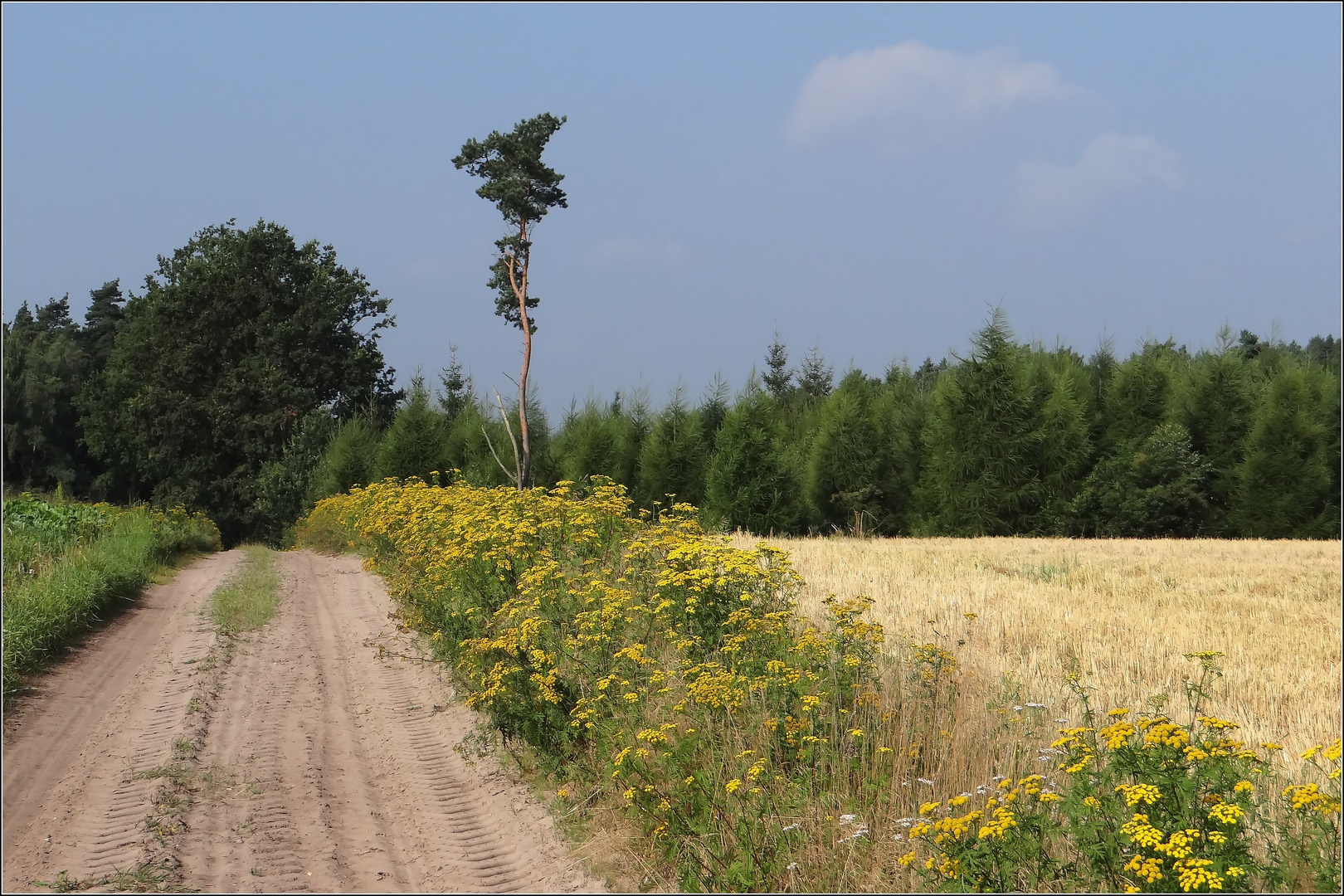 hier war der "Spaßfaktor" ziemlich hoch...beim Wandern...:)