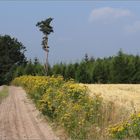 hier war der "Spaßfaktor" ziemlich hoch...beim Wandern...:)