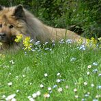 Hier war die Welt noch in Ordnung.......