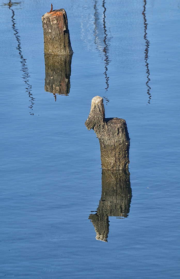 hier war ein Steg