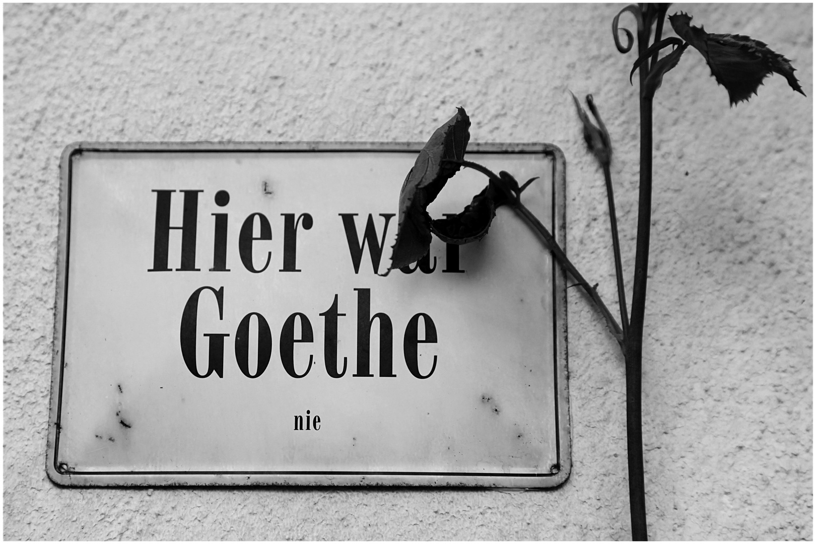 Hier war Goethe ...