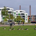 Hier war mal der Güterbahnhof Essen Nord