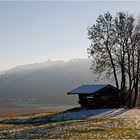 Hier waren die "Blauen Reiter" zugange