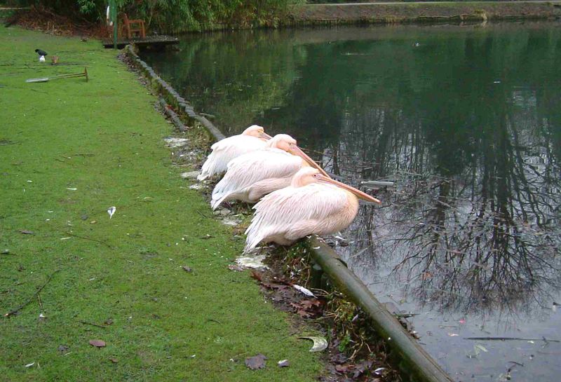 Hier waren sie noch halb im Winterschlaf...