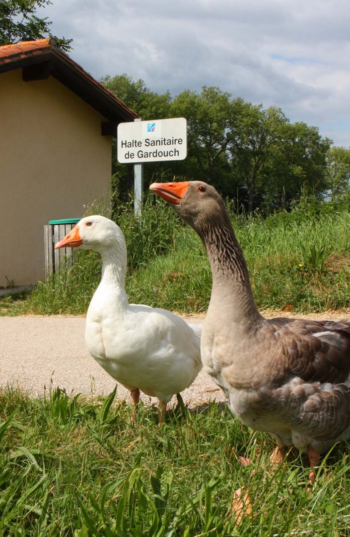 Hier werden nur Berechtigte zugelassen