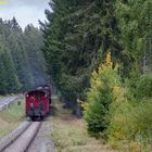 Hier wird der Spitzname begründet 