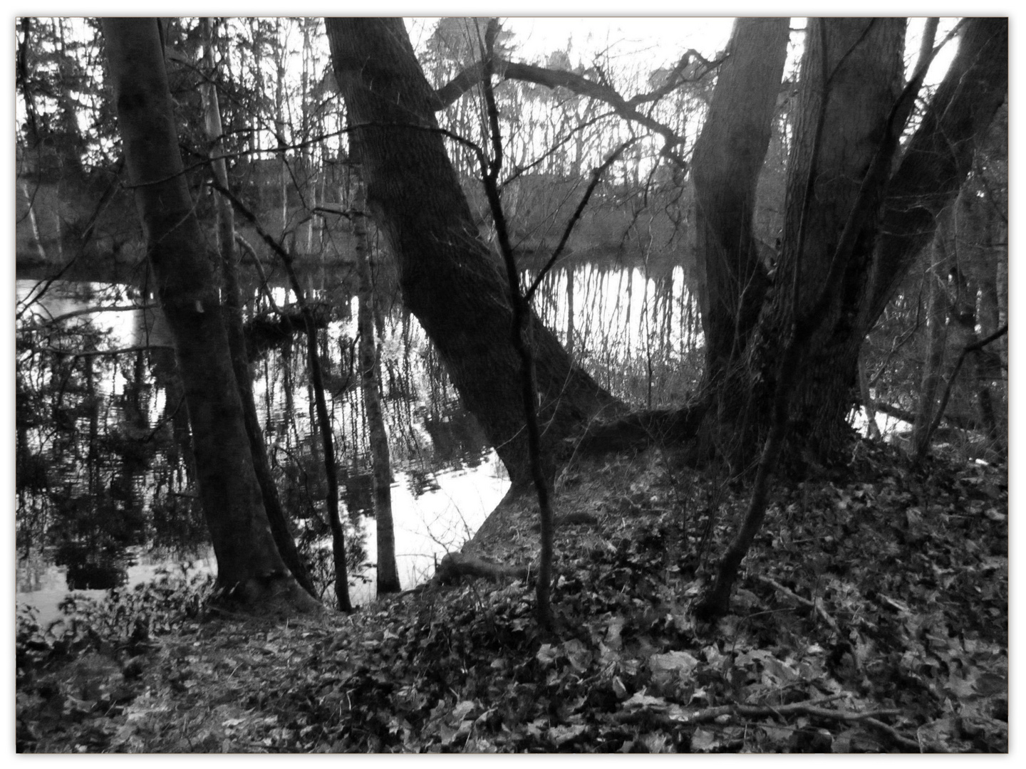hier wurde früher Ton abgebaut Foto & Bild landschaft, bach