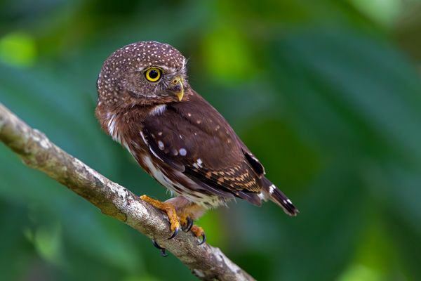 Hier zeigt sich der...