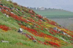 Hierapolis: Frühingsgefühle