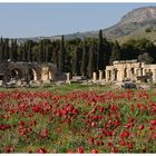 Hierapolis - Pamukkale / Türkei