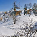 Hiermit bitte ich um einen geilen Winter!!!!!! Max Weickl, Powdershredden.