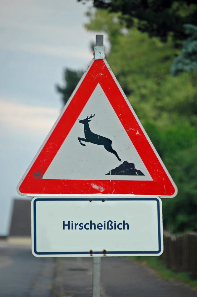 Hiersch scheiß ich