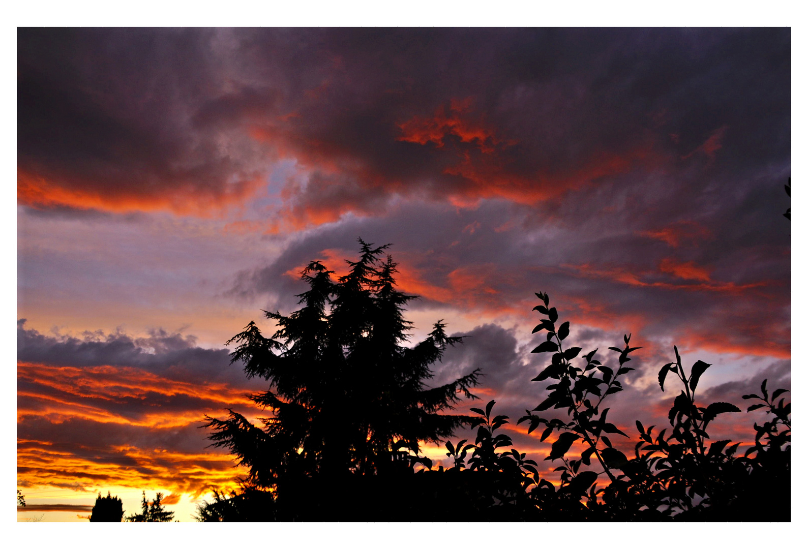 .......................HIER..ZUR..MON..BALCON.....................