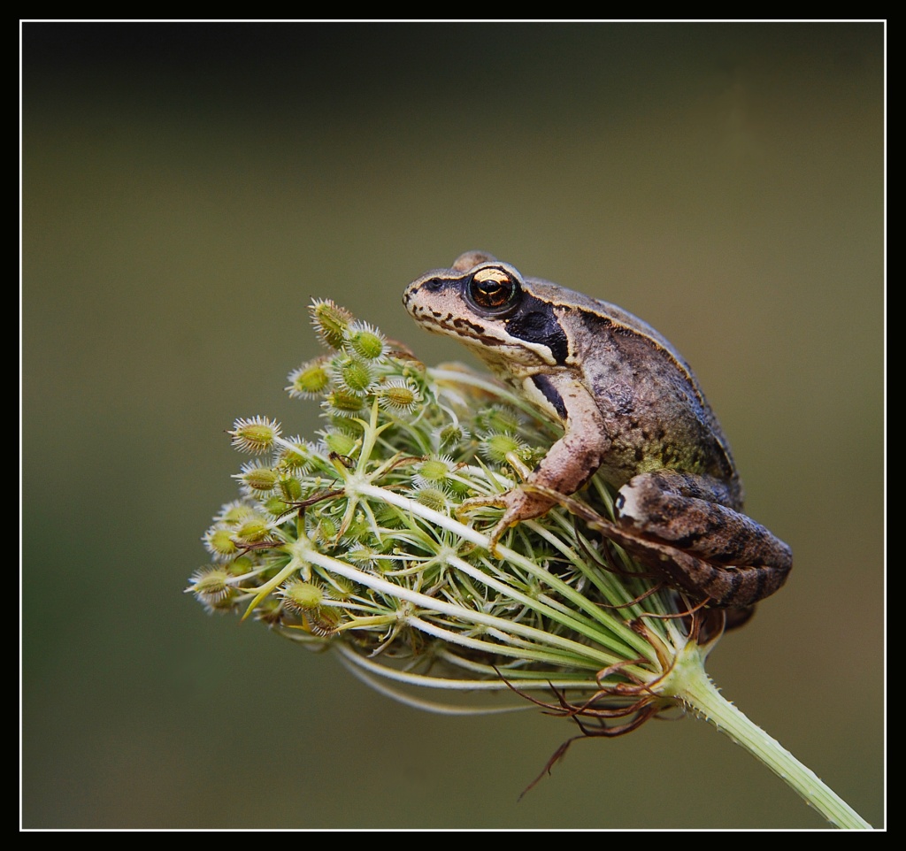 high and dry