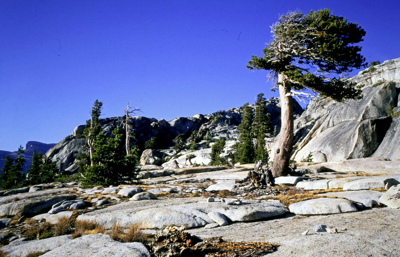 High country Yosemite