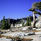 High country Yosemite