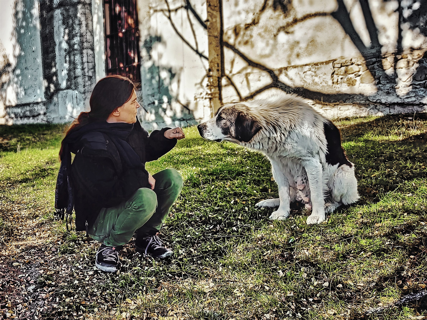 High Five