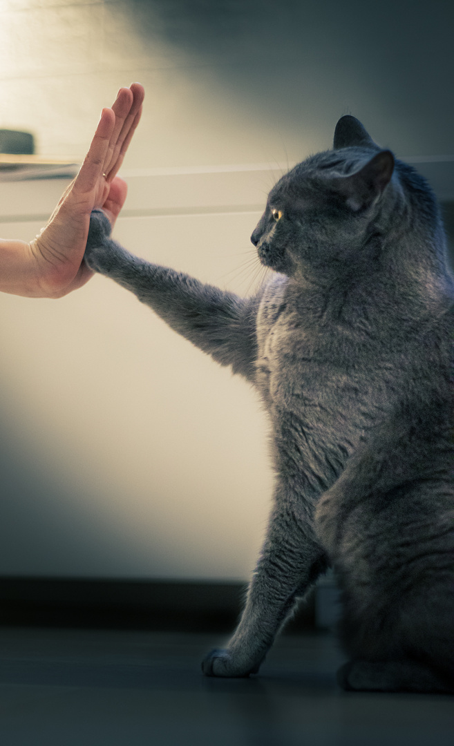 High Five!