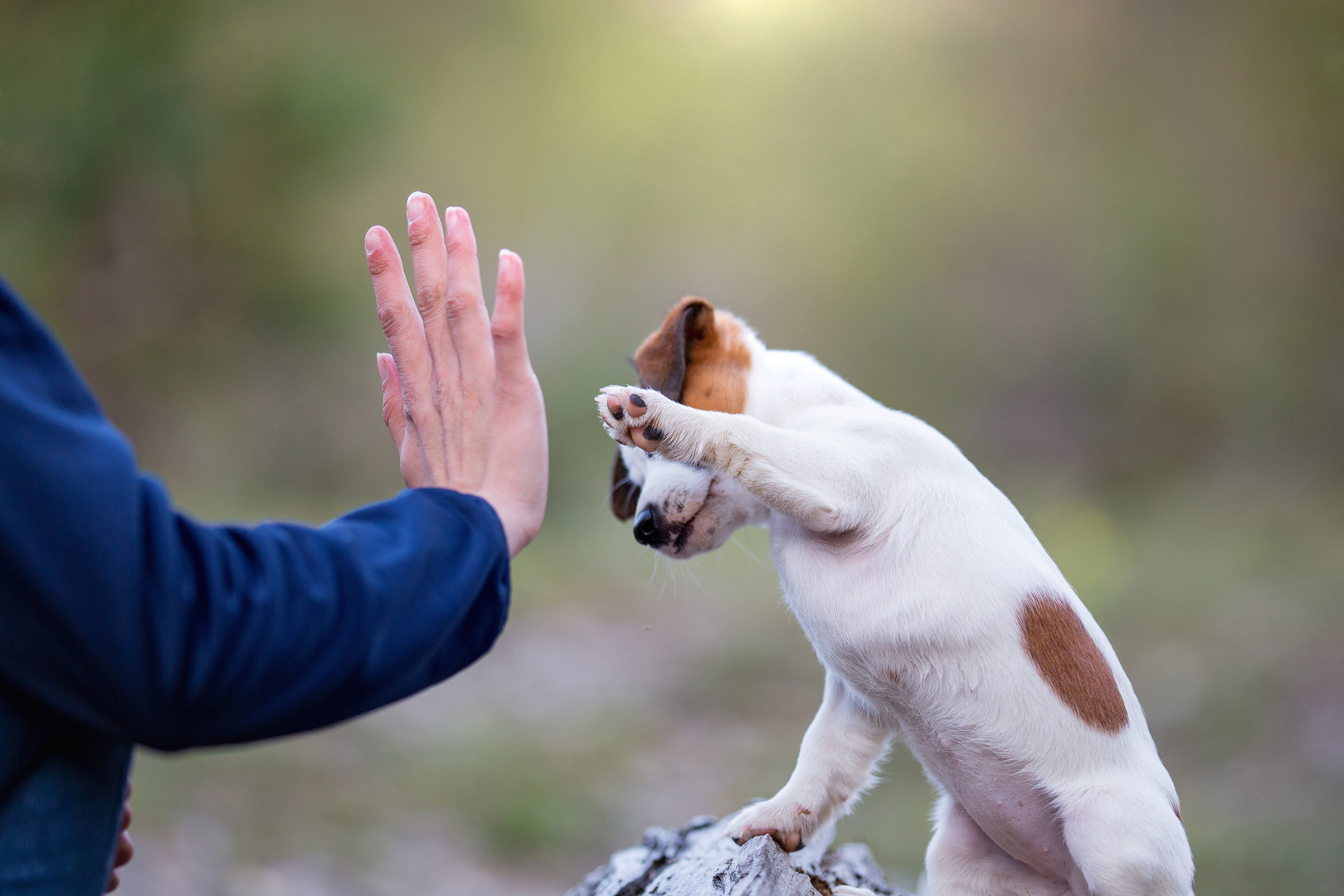 High five