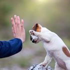 High five