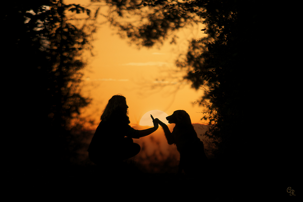 High five im Sonnenuntergang