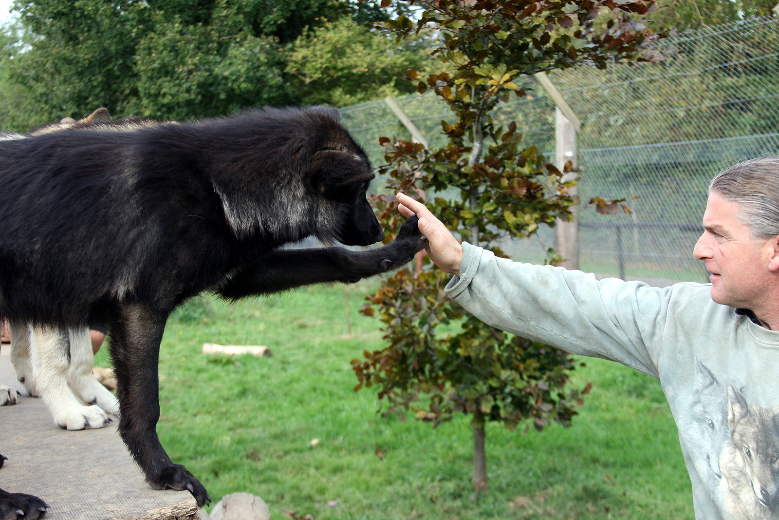 High Fives!