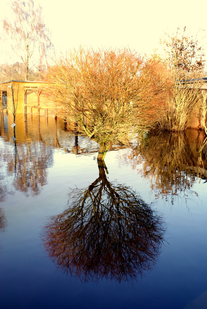 high flood