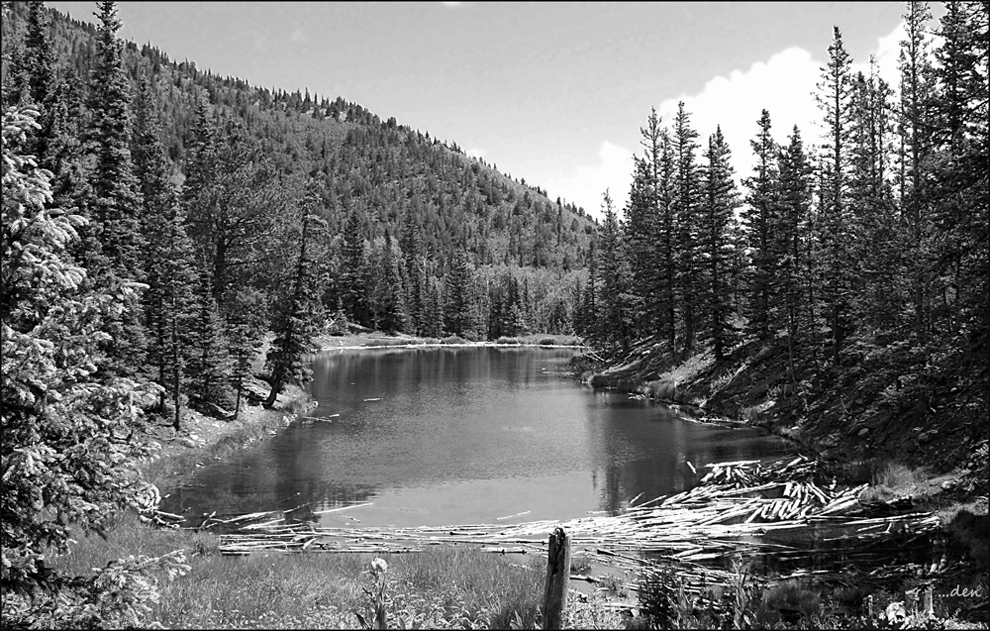 High in the Colorado Rockies......