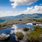 High in the Highlands 