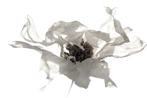 ...High Key Spielen 1...