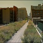 High Line Park 1