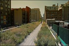 High Line Park 1