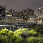 High Line Park, New York City