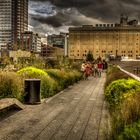 High Line Park NYC