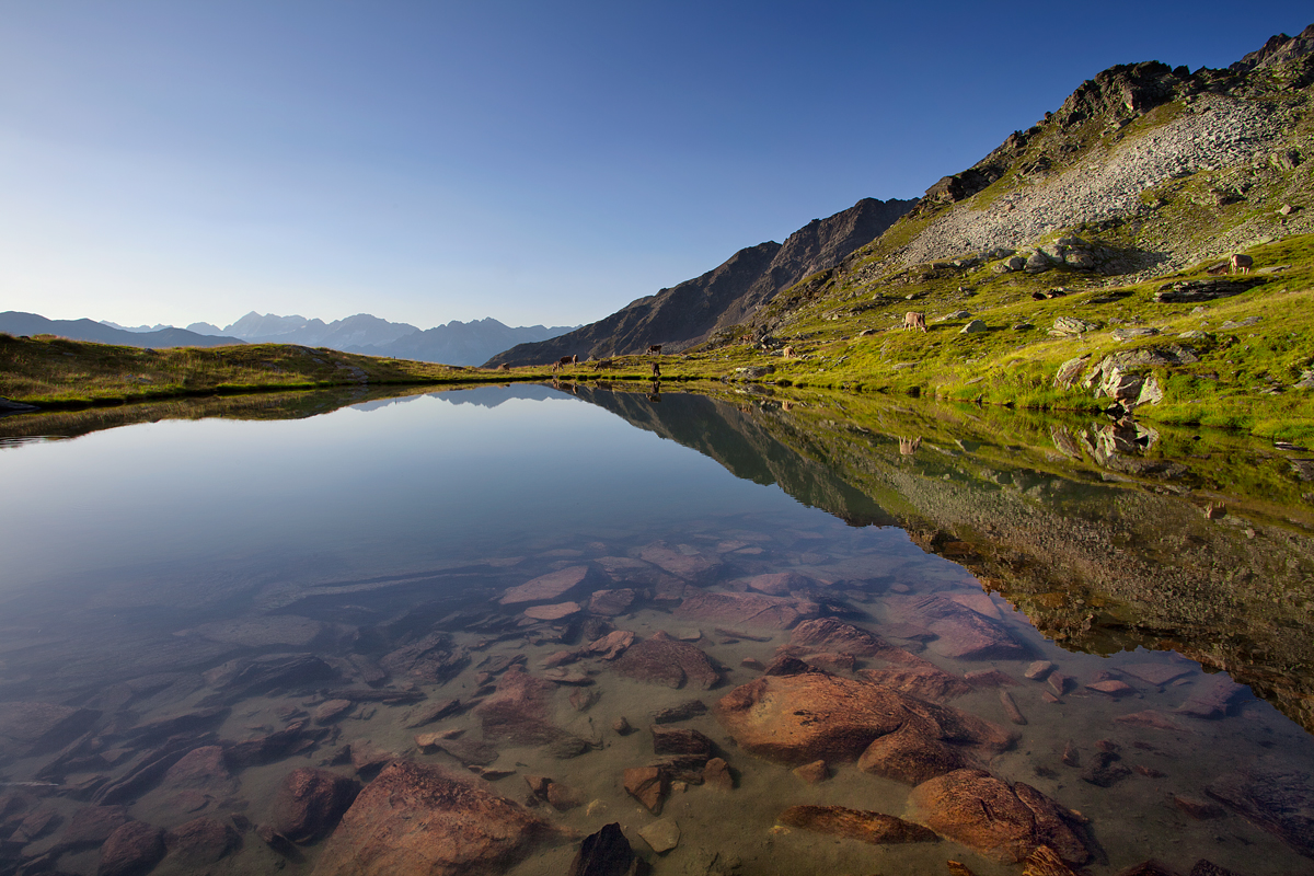 High mountain pasture