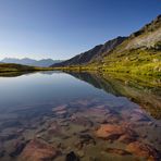 High mountain pasture