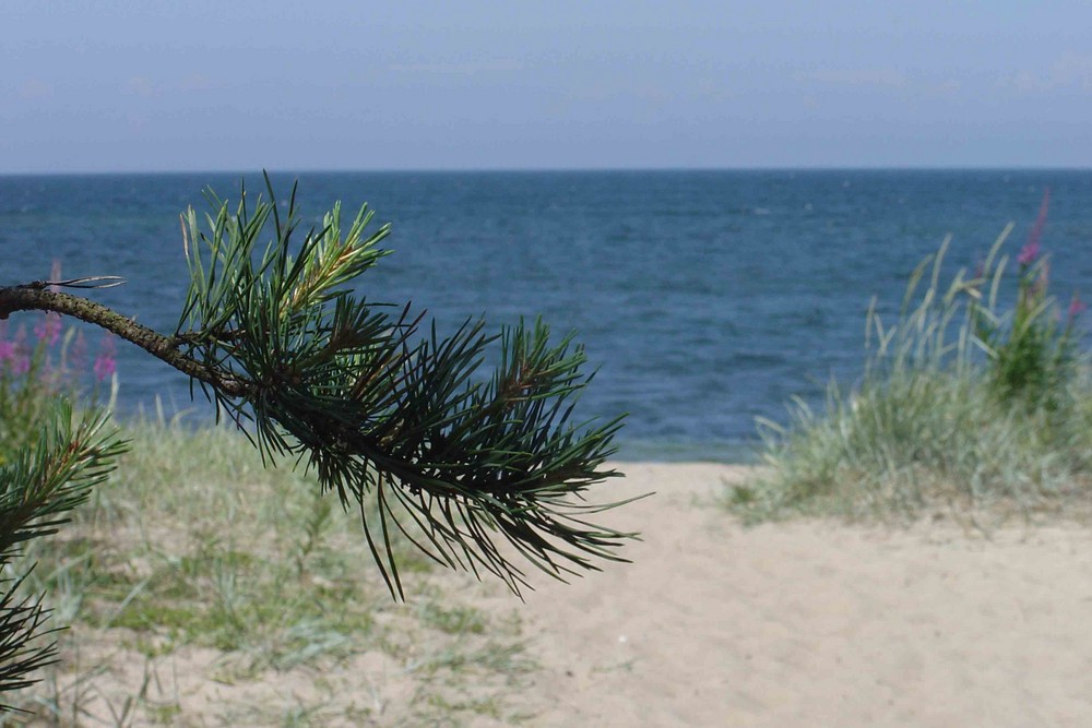 High noon an der Ostsee