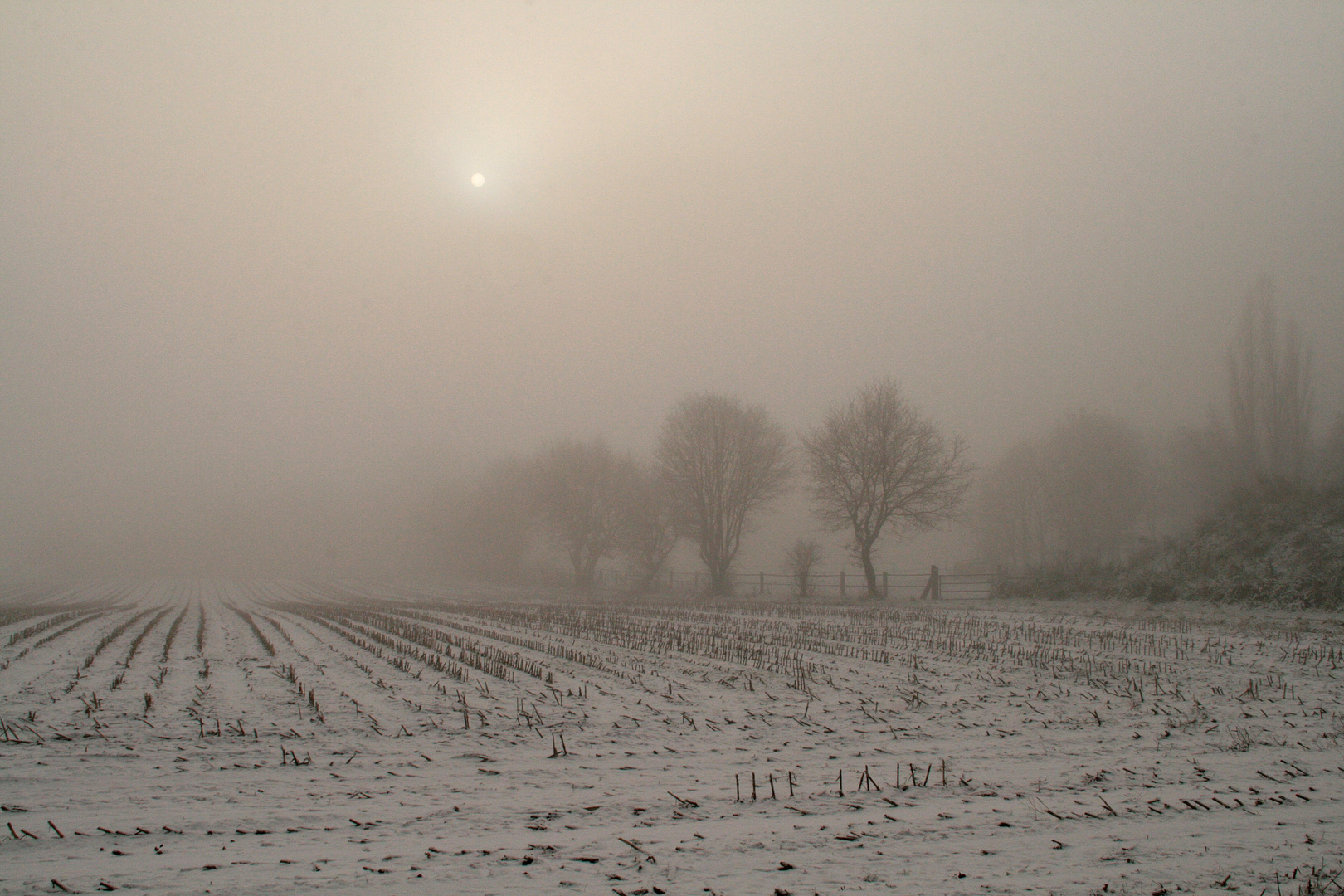 High Noon im Nebel