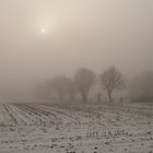 High Noon im Nebel