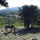 High Noon in Neuquen....