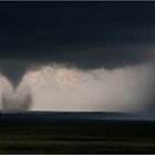 - HIGH PLAINS BEAUTY -