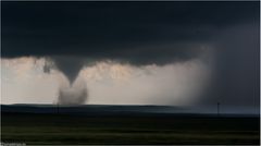 - HIGH PLAINS BEAUTY -