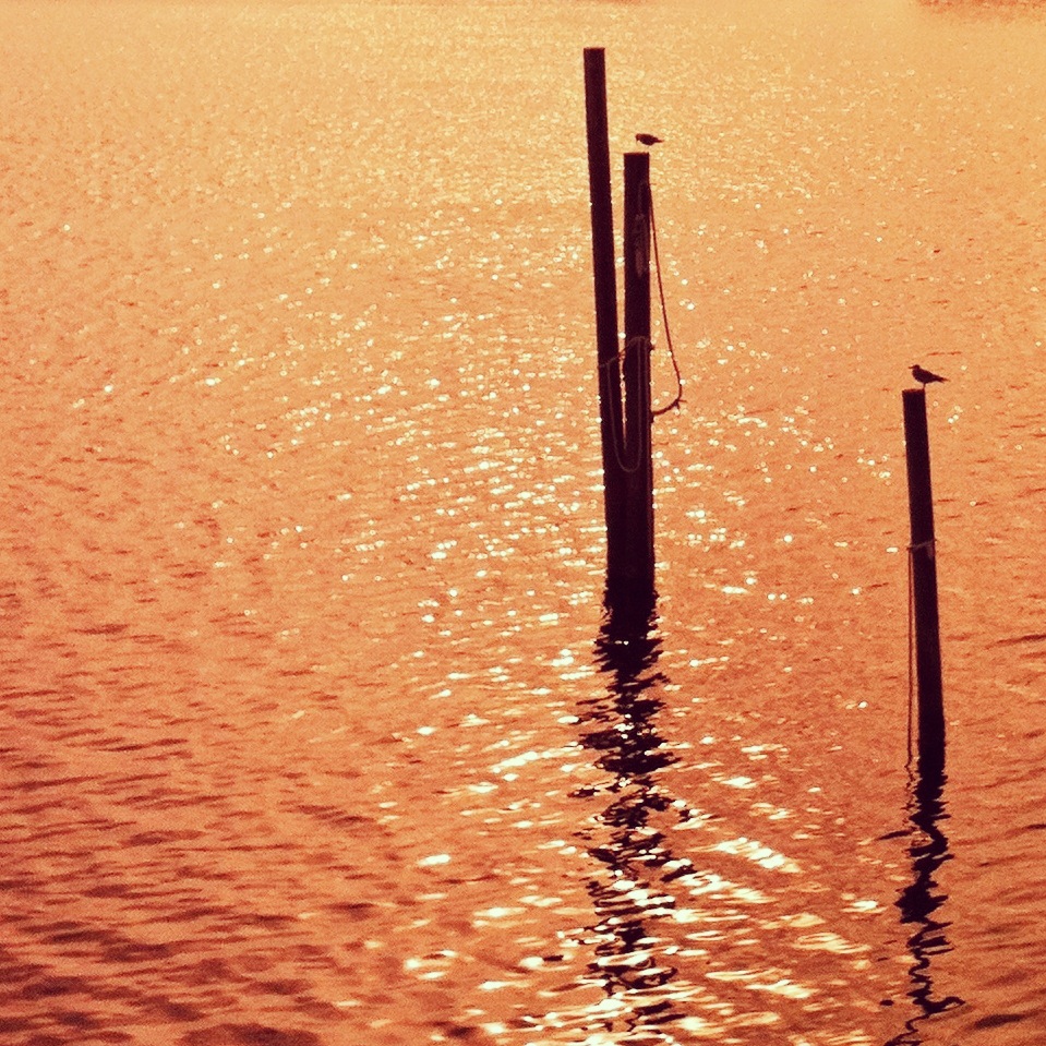 High seas, late afternoon