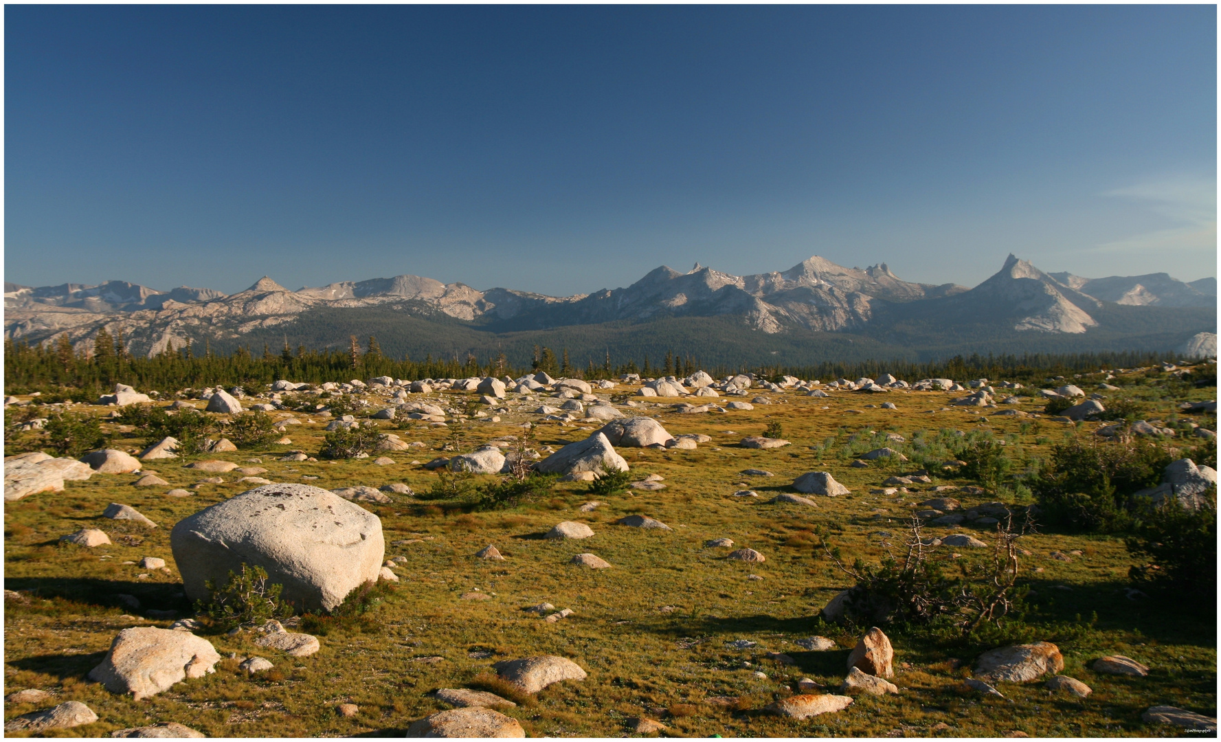 High Sierra Evening